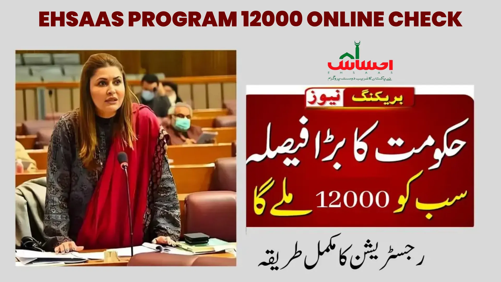 Ehsaas Program 12000 Online check