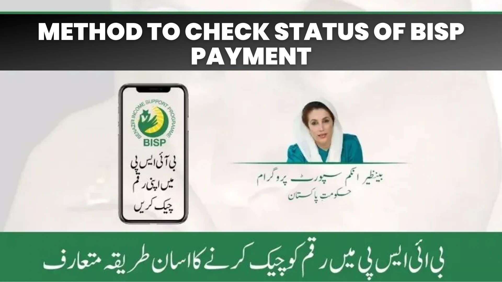 Method to check status of BISP Payment