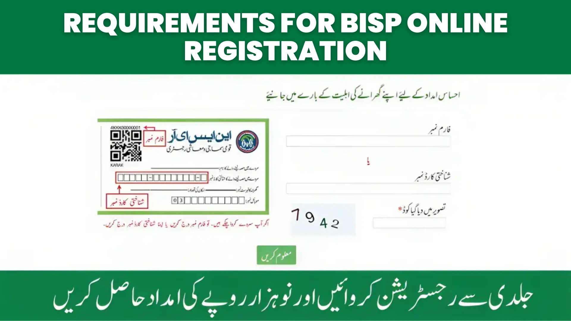 Requirements for BISP Online Registration