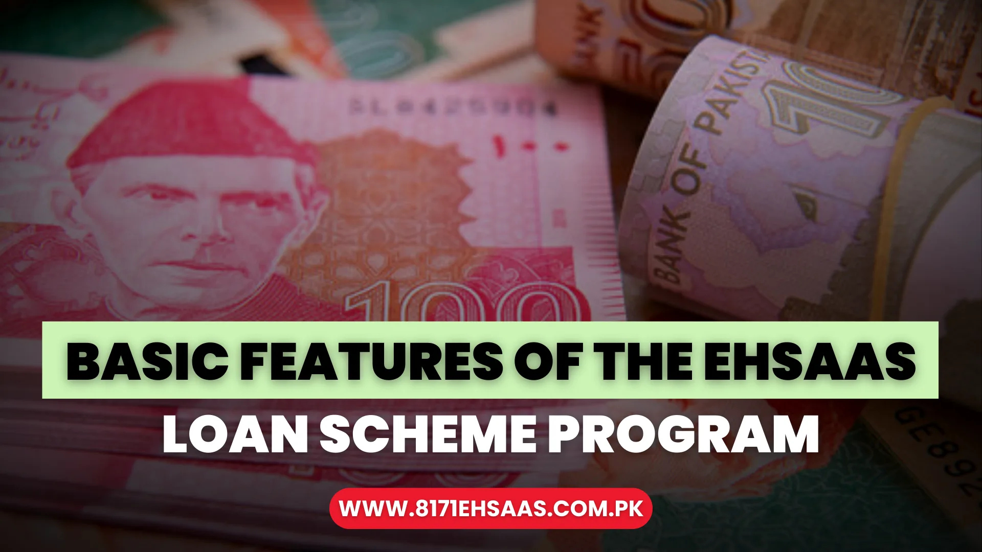 Basic Features of the Ehsaas Loan Scheme Program
